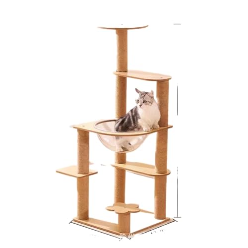 L^[ Lbg^[ 360°FD ˂ ܂Ƃ nEX Ԃ ^s ؐ 萫 ȒP  (6K)