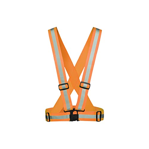 Numzo SxXg 10 ˃xXg uxg F̍˃EGXgohXgoh ̌uƕ ] oCNF TCY\ ʌx  x U K[h} Hp (100,IW)