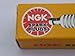 Produktbild NGK Zündkerze BCPR5ES passend für Briggs & Stratton 450E, 500E & 550E Motoren