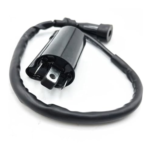 Bobina de encendido para ATV F300CC y modelos D300 G300 H300 LH260
