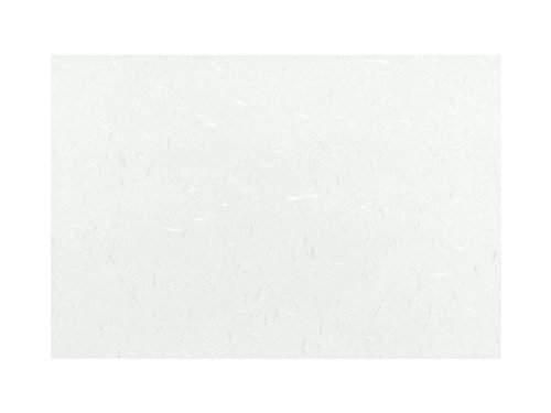 单H Y e[u}bg  n c26×38cm  a Vv `}bg Ɩp 100