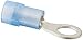 Nylon Insulated Ring Terminal, 16-14 Wire Size, 10" Stud Size, 0.315" Width, 0.846" Length