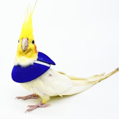 2pcs Parrot Protective Collar Anti-bite Neck Cone for Birds, Red and Blue, Bird Health Supplies - Image 4