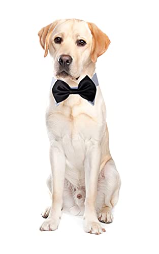 Dog Bow Tie Adjustable Tuxedo Collar Pet Costume Bowtie for Dogs & Cats (Medium, Black) Dog Bow Tie Adjustable Tuxedo Collar Pet Costume Bowtie for Dogs & Cats (Medium, Black)