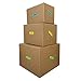 UBOXES Moving Box Combo Pack - 2 Smalls, 6 Mediums, 2 Larges, Moving Labels