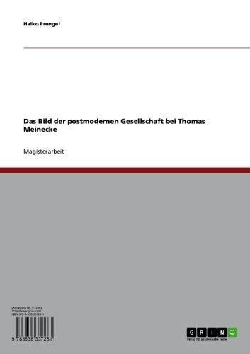 Das Bild der postmodernen Gesellschaft bei Thomas Meinecke (German Edition)