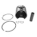 Asaki Piston Kit 09-801 8G5-11631-01-96 Std with Ring Compatible with Yamaha Enticer 250 Snowmobile
