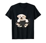 Dog breeds while Labrador Dog in pocket