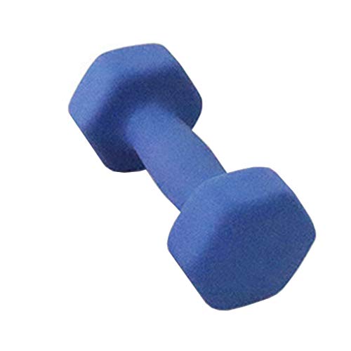 OMGYST Neoprene Dumbbell Hand Weights Dumbbell Exercise Barbell Neoprene Coated Weights 12 Pound Single Blue (Blue)
