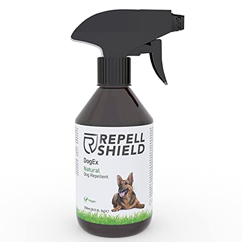 10 Best No Bite Spray For Dogs 2024 There's One Clear Winner