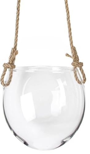 Eiuuioj 花瓶 吊り下げ 水耕栽培 卵型 ガラス 壁掛け 壁掛け 水植物容器 ホームガーデニング 壁飾りペンダント