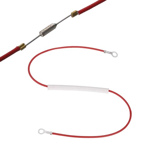 QUARKZMAN Universelle Reiskocher Temperatursicherung 216°C 10A 250V Metallische Thermosicherung Mit Beidseitigen Ringklemmen Und Glasfasermantel Für Elektrischen Druckkochtopf Reparaturteil