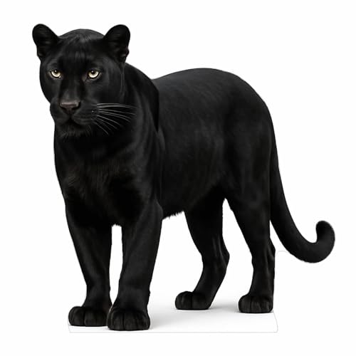 Image of Black Panther 2FT Life Size Cardboard Cutout - A Fun Animal Standup for Photo Booths, Birthday Parties, and Events