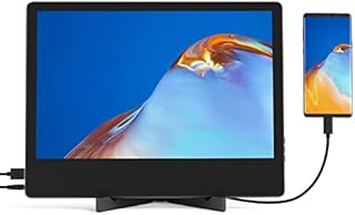 Lijun Portable Monitor for Laptops and Smartphones, Computer Display Monitor w/USB-A Port HDMI, 13.3