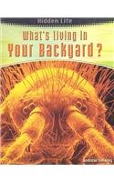 Paperback What's Living in Your Backyard? (Hidden Life) Book