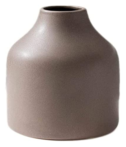 Vase en céramique salon RLKHXBS avec arrangement de fleurs séchées de table