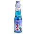 Ramune Japanese Marble Soda Choose your flavor (9 Flavor Sampler)