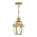 Livex Lighting 2152-02 Monterey 1-Light Outdoor Hanging Lantern, Polished Brass