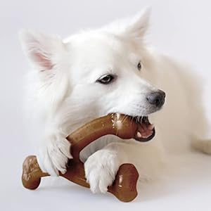Benebone Medium 4-Pack Dog Chew Toys for Aggressive Chewers, Made in USA, 60lbs and Under Benebone Medium 4 Pack Dog Chew Toys for Aggressive Chewers Made in USA 60lbs and Under