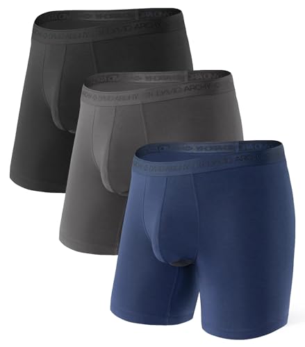 DAVID ARCHY Men's 3 Pack Underwear Micro Modal Separate Pouches Boxer Briefs with Fly