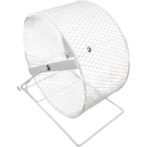 FiyyuganX^[bLOJ[AzC[ATCgzC[AybgAGNTTCYzC[AybgWMOGNTTCYߋAuAjOAzu^CvA܌AOEhzbOAnX^[AnlY~jOzC[ߋpi (zCg,3