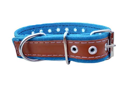 Forever99 Pet Shop Fabric and Leathrite Dog Collar Neck Belt for Dog Collar Belt for Medium Dogs Adjustable mega Combo Pack 2 pcs (B08F4FBDML) Amazon Price History, Amazon Price Tracker