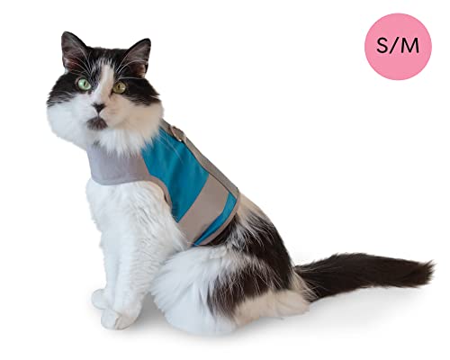 CAT SCHOOL Cat Harness and Leash Set for Outdoor Walks, Training, and Travel - Secure, Soft, Comfort