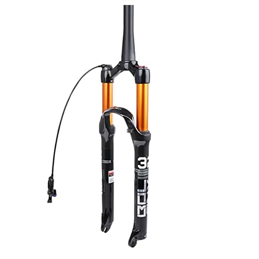 Mtb Lätt magnesiumlegeringsupphängningsgaffel, 26/27,5/29 tum rak och ryggmärg, 100 mm luftgaffel chock (manuell låsningslås) (S : 26in, Type : Vertebral tube remote)