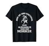 Jeder hat einen Schutzengel - wahre Glückspilze haben einen Noriker. Pferde Spruch für den Noriker Besitzer.