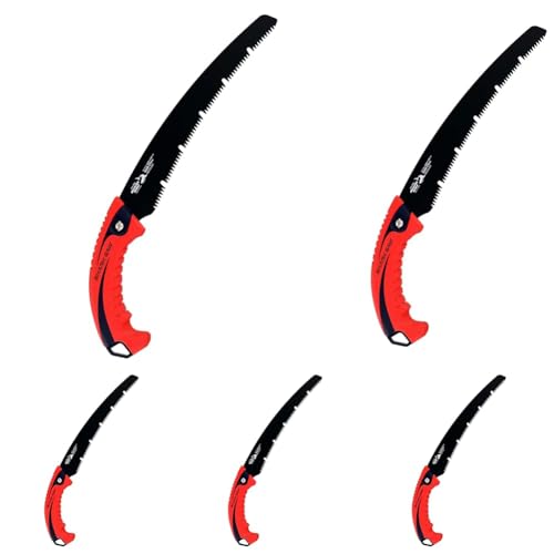 V(Takagi) V[N\[ ֐n Tt  J[u\[ ݖ tbf 270mm { ̂ mRM  Аn ؂ hj S ؒf |  ʎ i Jri t\ (× 5)