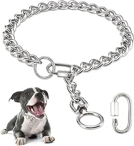 Collari per cani a catena, colletti a prova di masticazione in metallo in acciaio inossidabile collare a catena con chiusura di connessione per piccoli cani di grossa taglia (M, A)