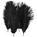 SPECIAL LOT Wholesale Bulk Ostrich-- BLACK 100 Deluxe Ostrich Plumes-10-14" Long--Wedding Eiffel Tower Feathers
