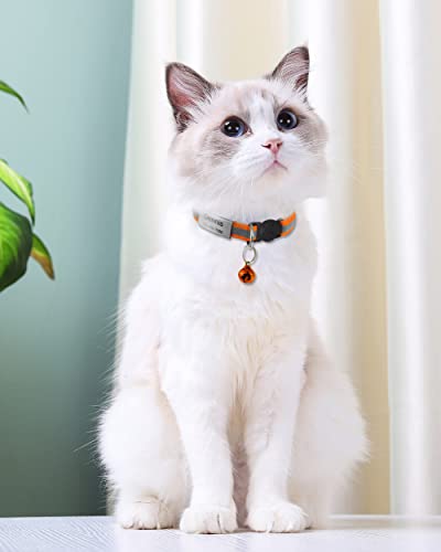 TagME 2er Pack Katzenhalsband mit Namen und Telefonnummer, Katzenhalsband mit Sicherheitsverschluss und glöckchen, 18-31 cm für Katzen, Orange