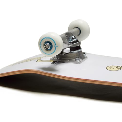 Image of [CCS] Skateboard Complete | Maple Wood | Professional Grade | Fully Assembled with Skate Tool & Stickers | Adults, Kids, Teens, Youth | Boys & Girls