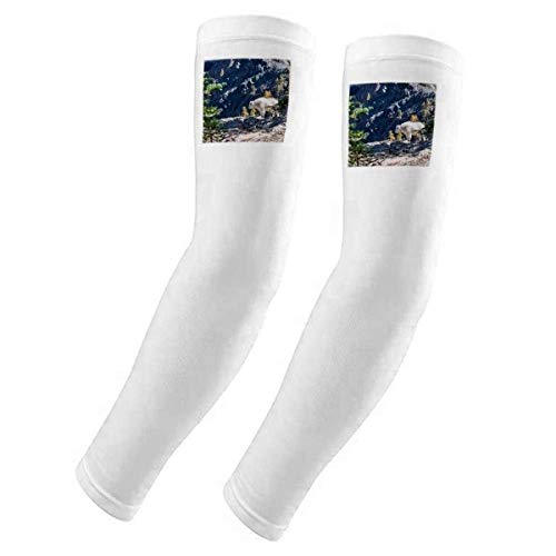 Housse de protection UV pour bras ours blanc contre coups de soleil