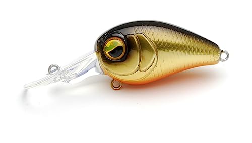 ChWp(Raid Japan) LEVEL CRANK PING (xNN sO) 005.LN (LCP005-KINKURO)