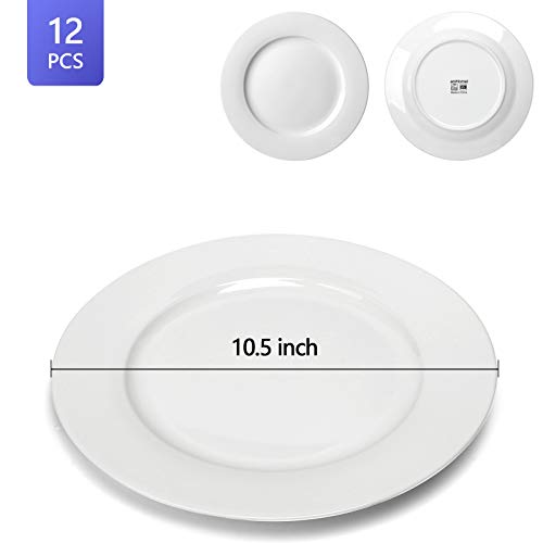 Amhomel PLATE-10P5INCH-12-WHITE 12-Piece White Porcelain Dinner Plates thumb #5