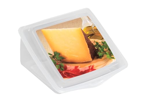 Quesera para guardar el queso fabricada en plástico polipropileno libre de BPA | Mide 13x13 cm | Recipiente para guardar el queso en la nevera de forma cómoda y segura | LIBRE DE BPA (1 Quesera)