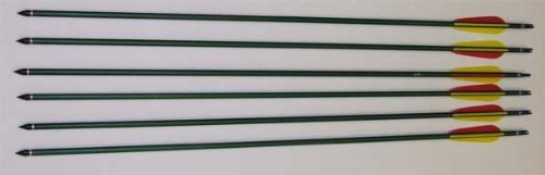 Flèches arc classique composite en aluminium de 79,3 cm avec tubes haute résistance - 2
