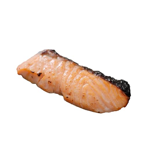 漬魚 サーモン 10枚 漬け魚 焼き魚 お魚 西京漬け 酒粕 つまみ サケ さけ 鮭 しゃけ 魚 食品 冷凍 個包装 おかず 静岡県 藤枝市