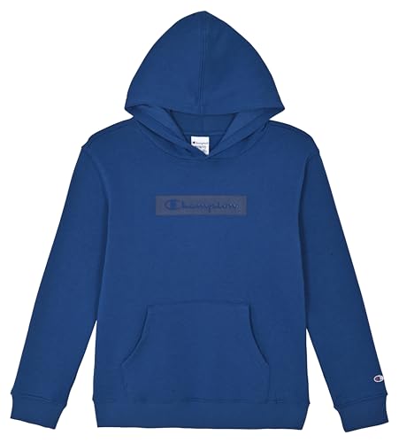 Champion Boys Fashion Hoodie Pullover Sweatshirt for Kids with
