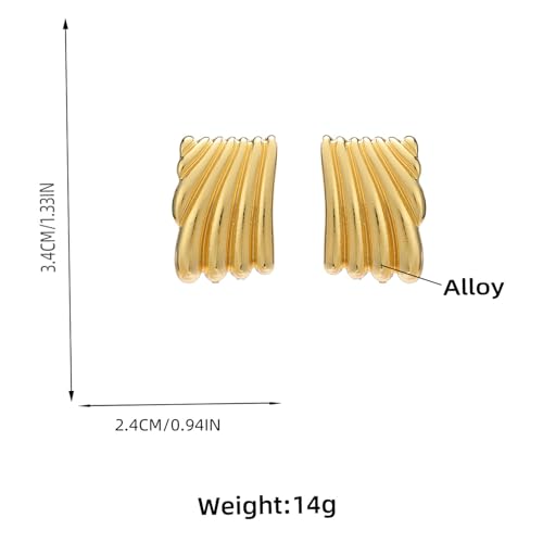 Minimalist Alloy Chunky Striped Rectangle Geometric Square Statement Stud Earrings for Women Jewelry2