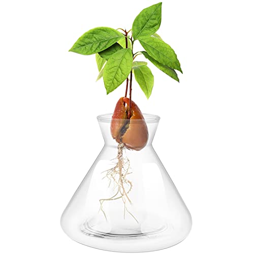 Emsiok 1 PCS Avocado Seed Starter Vases, Pit Planter Pot Avocado Tree Growing Kit Acorn Bulb Vase Grow Glass Blue Hydroponics Container for Gardening Lover