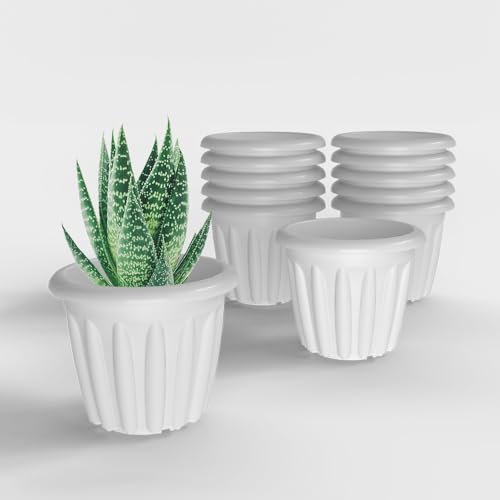 Image of YUCCABE ITALIA SHERA Floot 6 Inch Plastic Flower Pot 12 Piece Set of Round Shape Planter for Home Garden Seedling Planter for pots (White)
