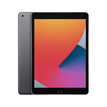 2020 Apple iPad (10,2-pollici, Wi-Fi, 128GB) Grigio Siderale (Ricondizionato)
