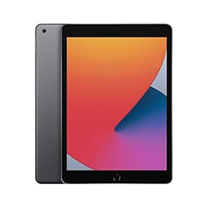 2020 Apple iPad (10.2-pulgadas, Wi-Fi, 128GB) Gris Espacial (Reacondicionado)