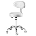 Lwjjby Podnoszenie taboretu, obrotowy mobilny modny stołek fryzjerski siodło krzesło robocze piękno taboret ergonomia z oparciem (kolor: Biały)