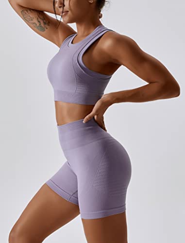 Image of Workout Sets for Women 2 Piece Seamless Ribbed Tank Top Sport Bra High Waist Biker Shorts GYM Yoga Exercise Outfits