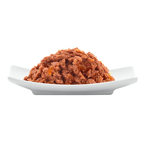 catz finefood Bio Katzenfutter Ente - N° 505 - Nassfutter für Katzen - 6 x 200 g - Ohne Getreide & zugesetzten Zucker (1,2 kg)