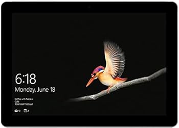 Amazon.com: Microsoft 10.5 Multi-Touch Surface Go 2, Intel